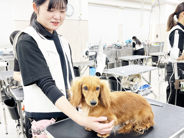 １年生のトリミング♪